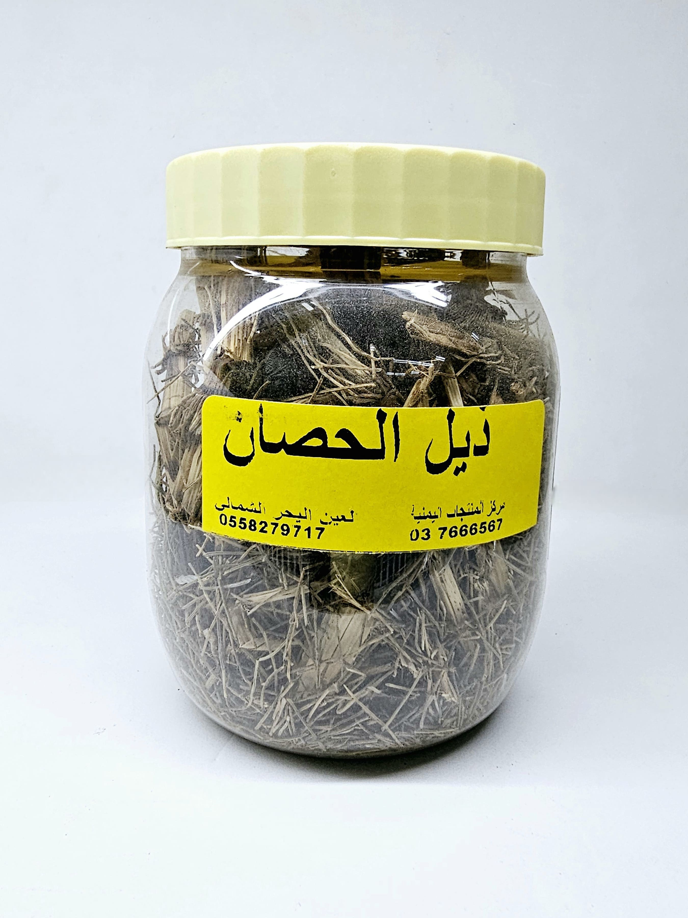 عشبة ذيل الحصان